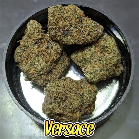 versace pink strain|Versace weed strain.